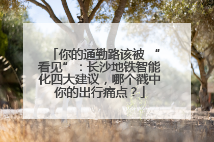 你的通勤路该被 “看见”：长沙地铁智能化四大建议，哪个戳中你的出行痛点？