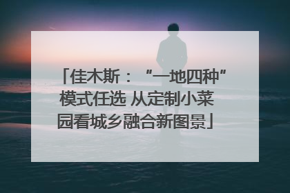 佳木斯：“一地四种” 模式任选 从定制小菜园看城乡融合新图景