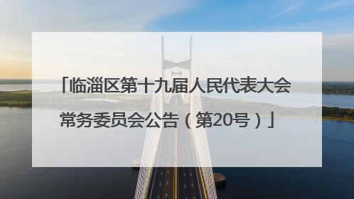 临淄区第十九届人民代表大会常务委员会公告（第20号）