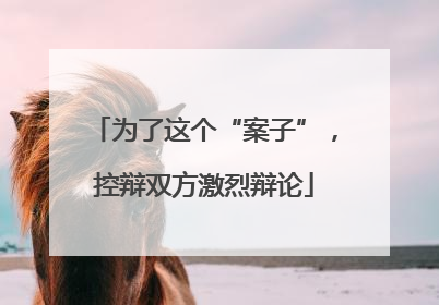 为了这个“案子”，控辩双方激烈辩论