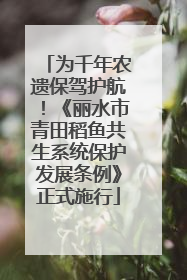 为千年农遗保驾护航！《丽水市青田稻鱼共生系统保护发展条例》正式施行