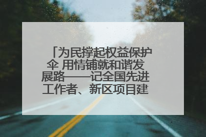 为民撑起权益保护伞 用情铺就和谐发展路——记全国先进工作者、新区项目建设中心干部卢小勇
