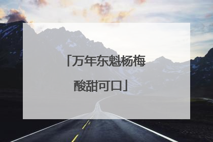 万年东魁杨梅 酸甜可口