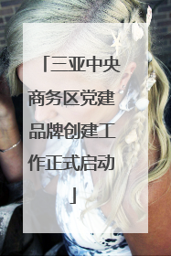 三亚中央商务区党建品牌创建工作正式启动