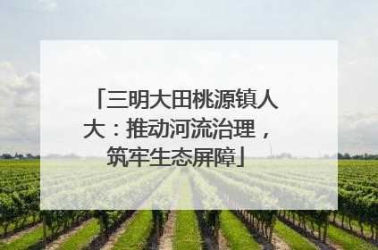 三明大田桃源镇人大：推动河流治理，筑牢生态屏障