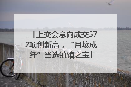 上交会意向成交572项创新高，“月壤成纤”当选镇馆之宝