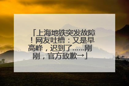 上海地铁突发故障！网友吐槽：又是早高峰，迟到了……刚刚，官方致歉→