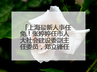 上海最新人事任免！张婷婷任市人大社会建设委副主任委员，郑立锋任市监察委委员