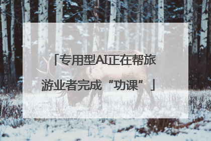 专用型AI正在帮旅游业者完成“功课”