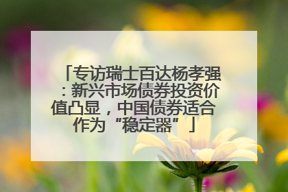 专访瑞士百达杨孝强：新兴市场债券投资价值凸显，中国债券适合作为“稳定器”