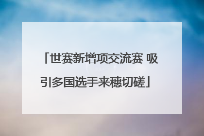 世赛新增项交流赛 吸引多国选手来穗切磋