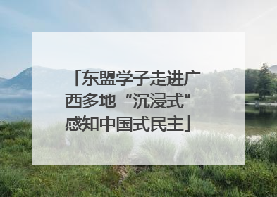 东盟学子走进广西多地“沉浸式”感知中国式民主