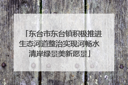 东台市东台镇积极推进生态河道整治实现河畅水清岸绿景美新愿景