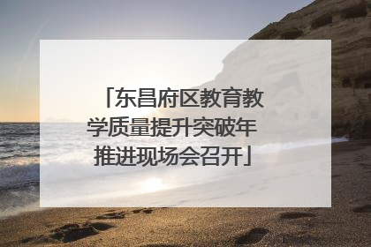 东昌府区教育教学质量提升突破年推进现场会召开