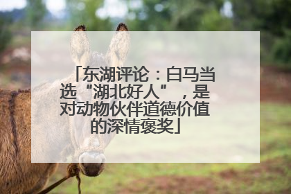 东湖评论：白马当选“湖北好人”，是对动物伙伴道德价值的深情褒奖
