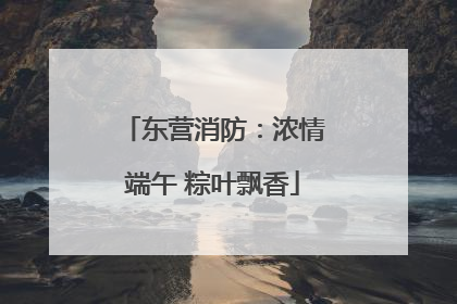 东营消防：浓情端午 粽叶飘香