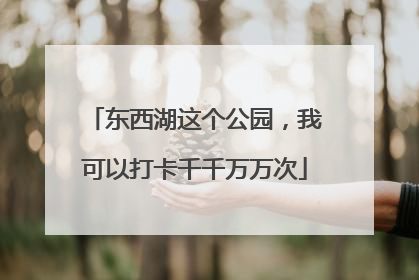 东西湖这个公园，我可以打卡千千万万次