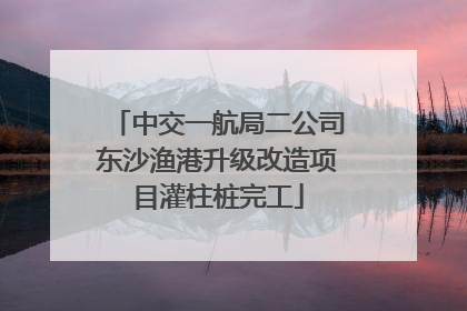 中交一航局二公司东沙渔港升级改造项目灌柱桩完工