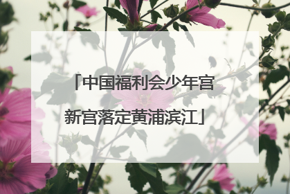 中国福利会少年宫新宫落定黄浦滨江
