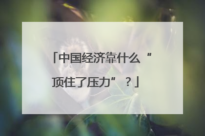中国经济靠什么“顶住了压力”？