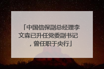 中国信保副总经理李文森已升任党委副书记，曾任职于央行