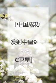 中国成功发射中星9C卫星
