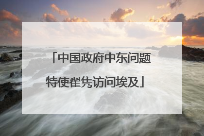 中国政府中东问题特使翟隽访问埃及