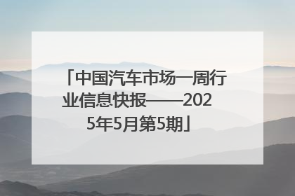 中国汽车市场一周行业信息快报——2025年5月第5期