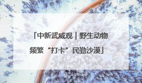 中新武威观｜野生动物频繁“打卡”民勤沙漠