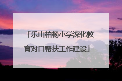 乐山柏杨小学深化教育对口帮扶工作建设