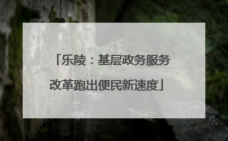 乐陵：基层政务服务改革跑出便民新速度