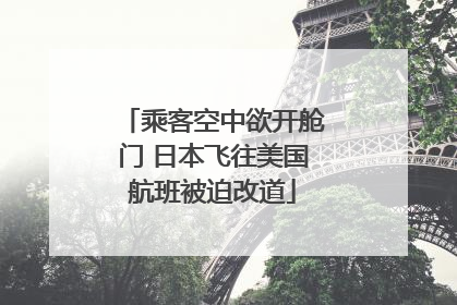 乘客空中欲开舱门 日本飞往美国航班被迫改道