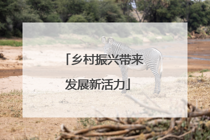 乡村振兴带来发展新活力