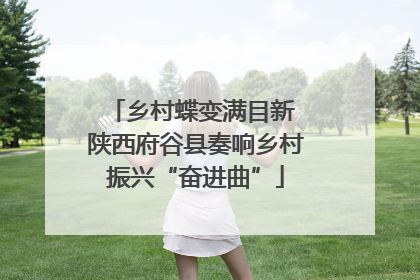 乡村蝶变满目新 陕西府谷县奏响乡村振兴“奋进曲”