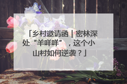乡村邀请函｜密林深处“羊咩咩”，这个小山村如何逆袭？