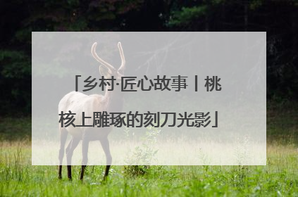 乡村·匠心故事丨桃核上雕琢的刻刀光影