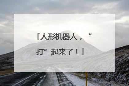人形机器人，“打”起来了！