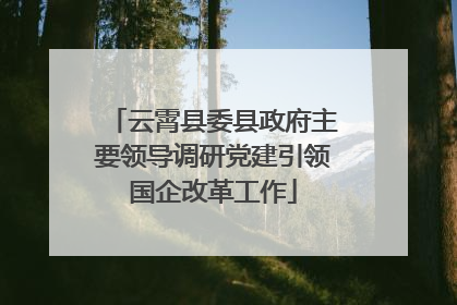 云霄县委县政府主要领导调研党建引领国企改革工作