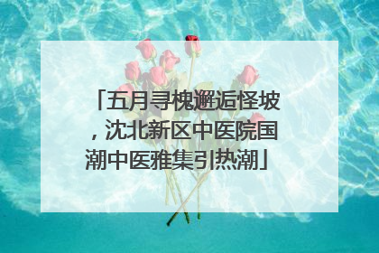 五月寻槐邂逅怪坡，沈北新区中医院国潮中医雅集引热潮