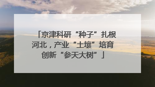 京津科研“种子”扎根河北，产业“土壤”培育创新“参天大树”