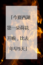 今夏西湖第一朵荷花开啦，比去年早5天