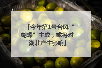 今年第1号台风“蝴蝶”生成，或将对湖北产生影响