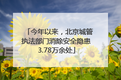 今年以来，北京城管执法部门消除安全隐患3.78万余处