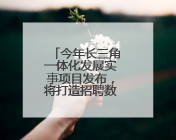 今年长三角一体化发展实事项目发布，将打造招聘数据共享平台