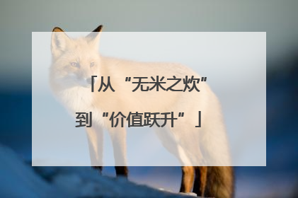 从“无米之炊”到“价值跃升”