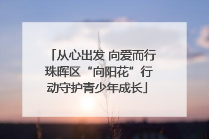 从心出发 向爱而行 珠晖区“向阳花”行动守护青少年成长