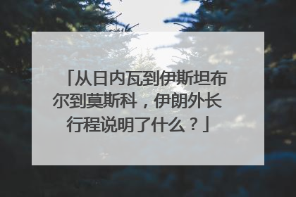 从日内瓦到伊斯坦布尔到莫斯科，伊朗外长行程说明了什么？