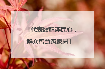 代表履职连民心，群众智慧筑家园