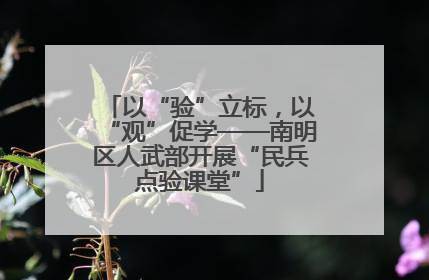 以“验”立标，以“观”促学——南明区人武部开展“民兵点验课堂”