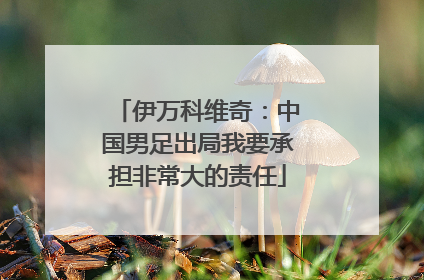 伊万科维奇：中国男足出局我要承担非常大的责任